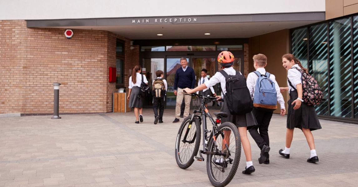 International school market trends